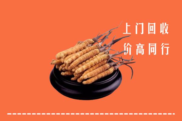 开远市高价冬虫夏草回收多少钱每克