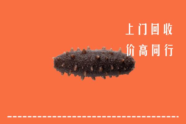 开远市回收海参