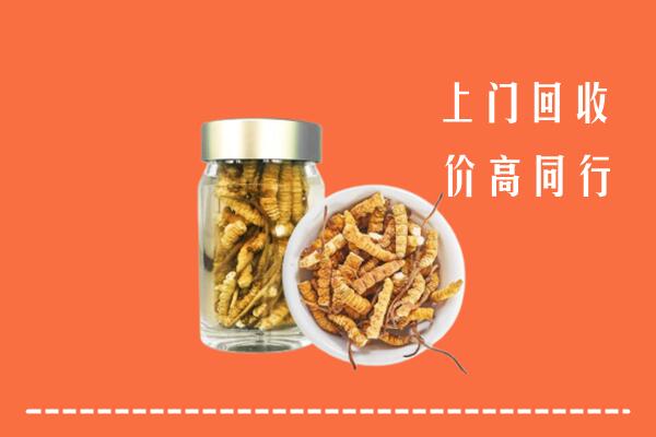 开远市回收冬虫夏草