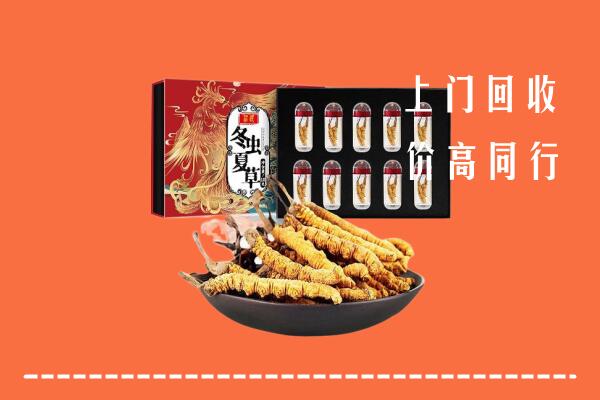 开远市回收虫草